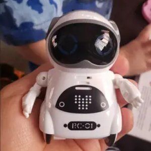 Pocket RC Robot